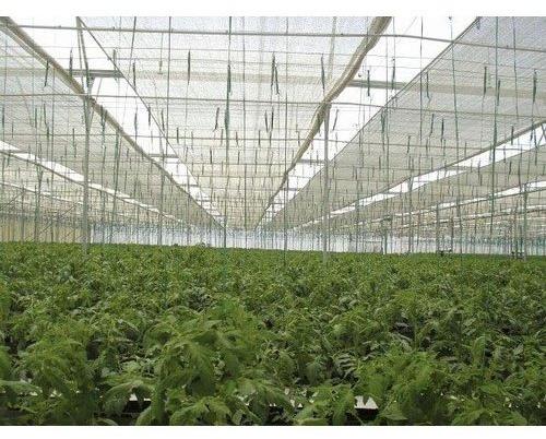 PP Ground Cover, Width : Up to 5.25 m (Single Piece)