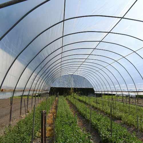 Plastic Greenhouse Films, Feature : Waterproof