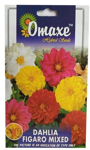 Dahlia Figaro Mixed Hybrid Seeds, Packaging Type : Packet