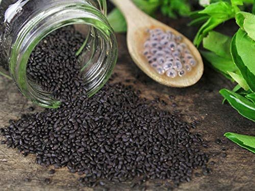 Basil Seeds, Packaging Type : Packet