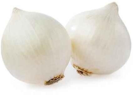 White onion, Shelf Life : 15days