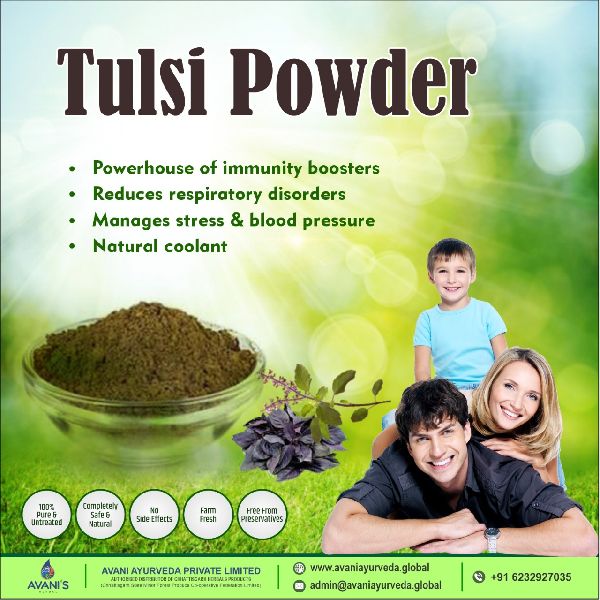 Tulsi Powder, Purity % : 99%