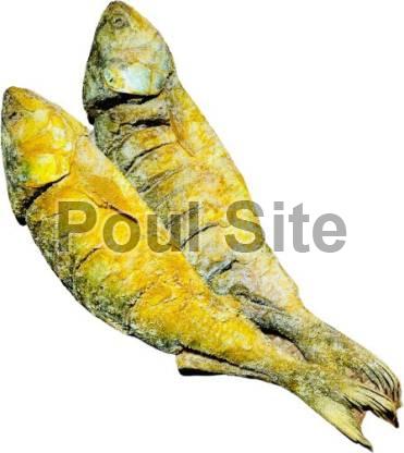 Dried Ilisha Fish, for Human Consumption, Style : Preserved