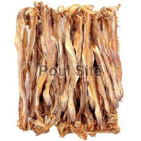 Dried Lotia Fish, for Human Consumption, Style : Preserved