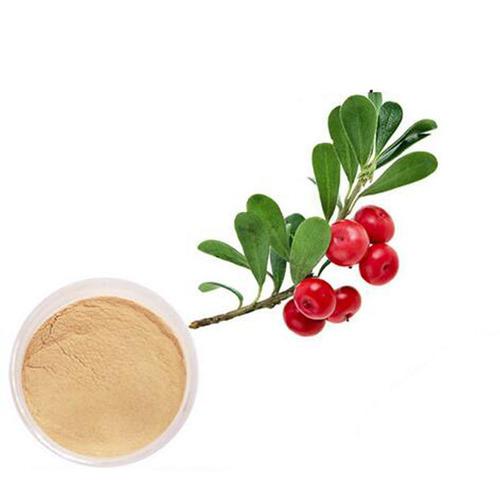 KAN Bearberry Extract, Packaging Type : Packet