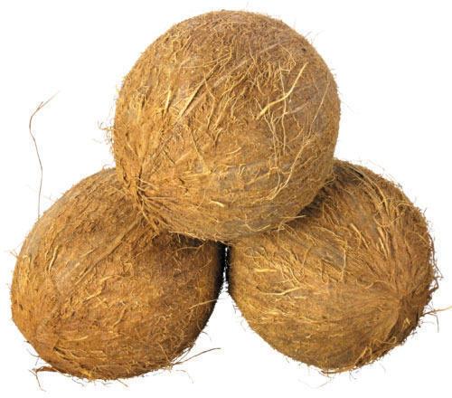 Sun Dry Organic Fully Husked Coconut, Color : Brown