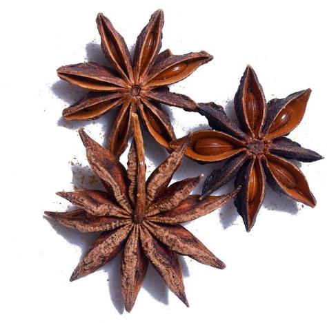 Natural Star Anise, for Cooking, Packaging Type : Plastic Pouch, Paper Box