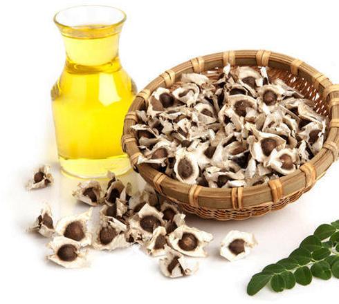 Moringa seed oil, Packaging Type : HDPE Drum