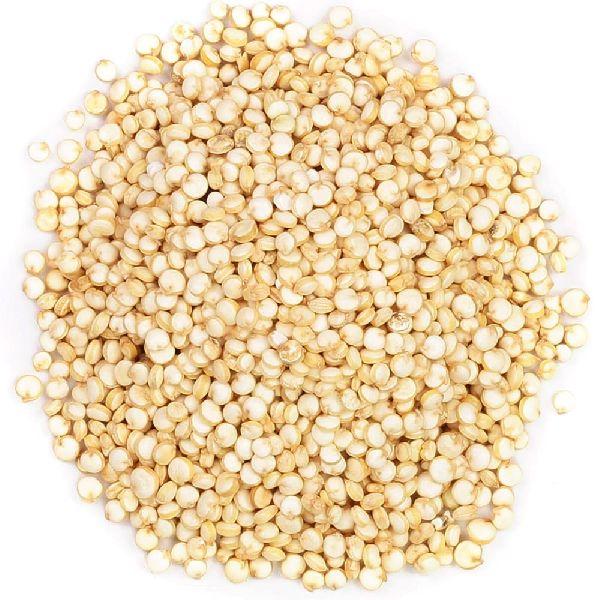 Quinoa Seeds, Packaging Type : Plastic Bag
