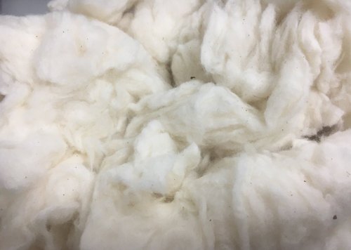White Comber Noil Cotton Waste