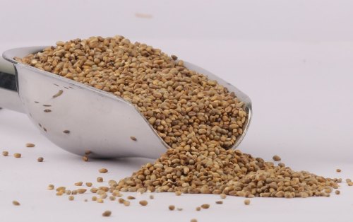 Millet Seeds