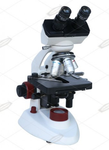 Geomatrix Compound Binocular Microscope