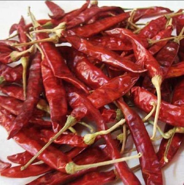 Common Guntur Red Chilli 999, for Food, Making Pickles, Powder, Style : Dried