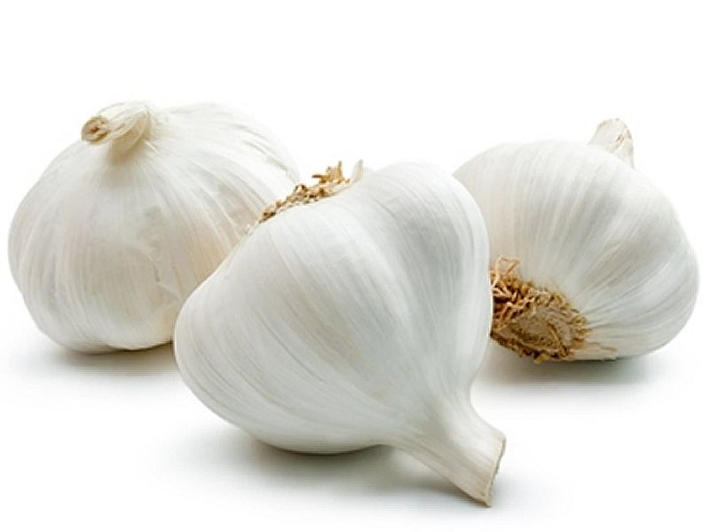 Ooty Garlic