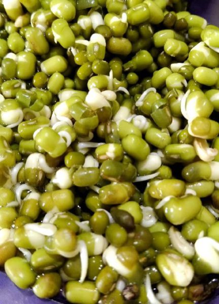 Sprouted Whole Moong & Sprouted Whol Moong Flour