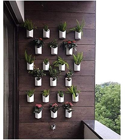 Wall Hanging Planter