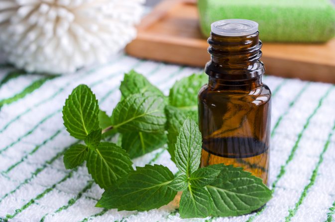 Spearmint Oil ( 60 to 80%)