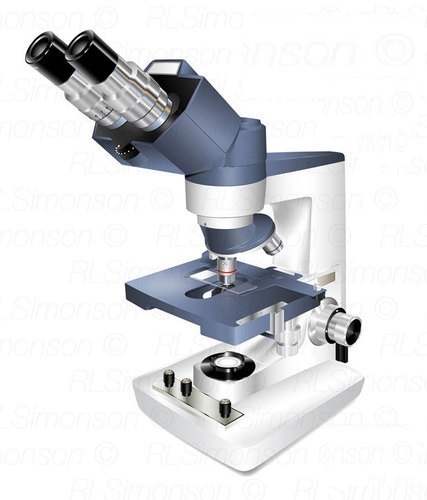 Compound Light Microscope