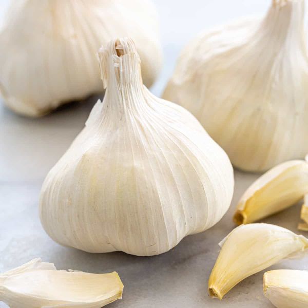 Organic fresh garlic, for Cooking, Fast Food, Feature : Dairy Free