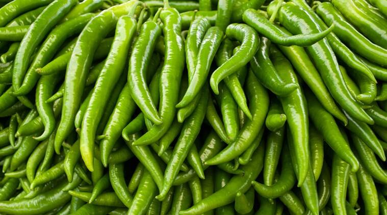 Organic Fresh Green Chilli, for Human Consumption, Cooking