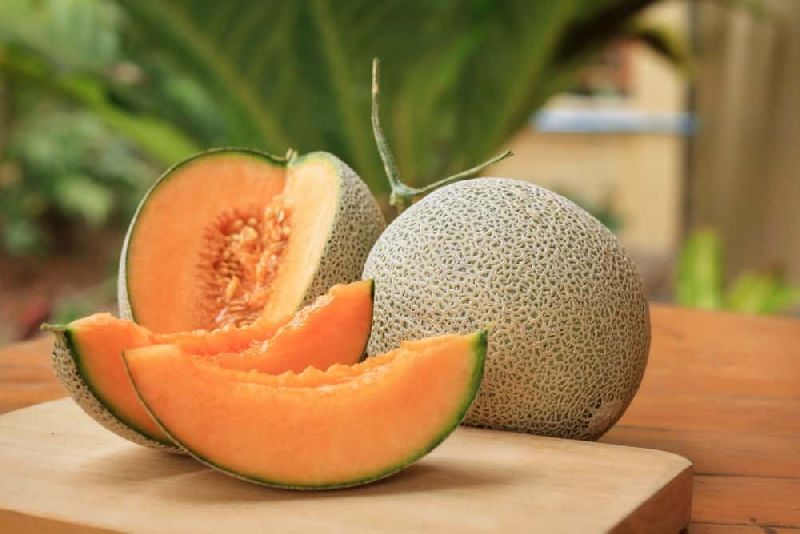 Organic Fresh Melon