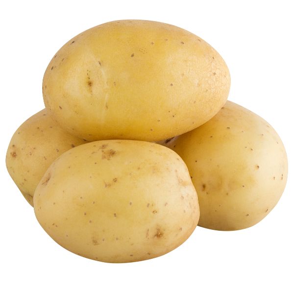 Organic fresh potato, for Cooking, Home, Packaging Size : 10-20kg, etc