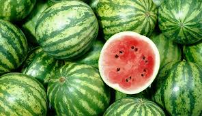Organic Fresh Watermelon, for Shake, Juice etc.