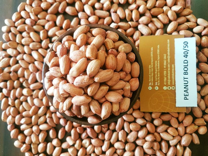 BOLD PEANUTS FROM GUJARAT ORIGIN