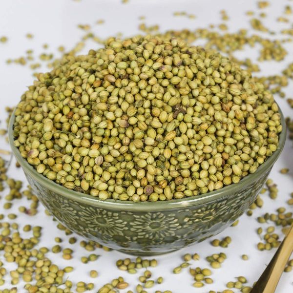 CORIANDER SEEDS BEST QUANTITY