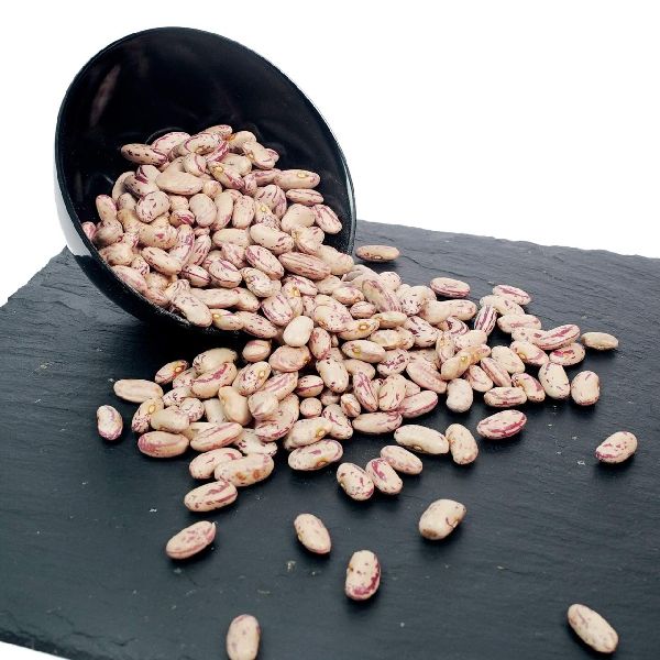 Organic Red Kidney Beans, Feature : Best Quality, Full Of Proteins, Good For Health, Rich In Taste