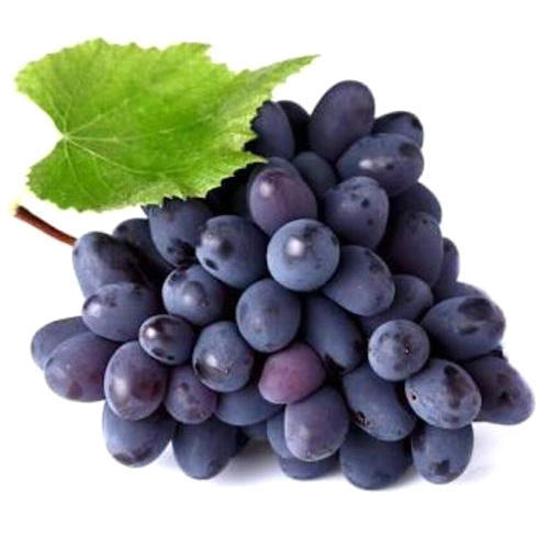 Organic Fresh Black Grapes, Packaging Size : 20-25kg