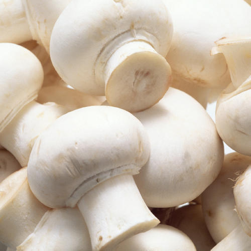 Organic fresh mushroom, Grade : Food Grade