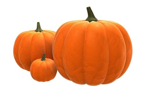 Fresh pumpkin, Shape : Round