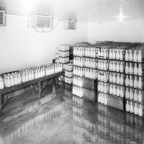 Milk Cold Storage Room, Voltage : 230 V