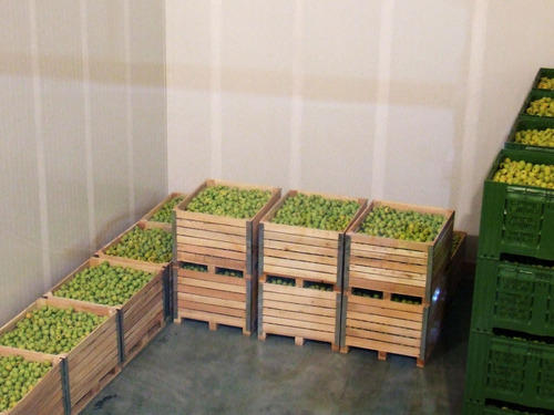 Vegetable Cold Storage Room