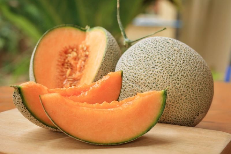 fresh muskmelon