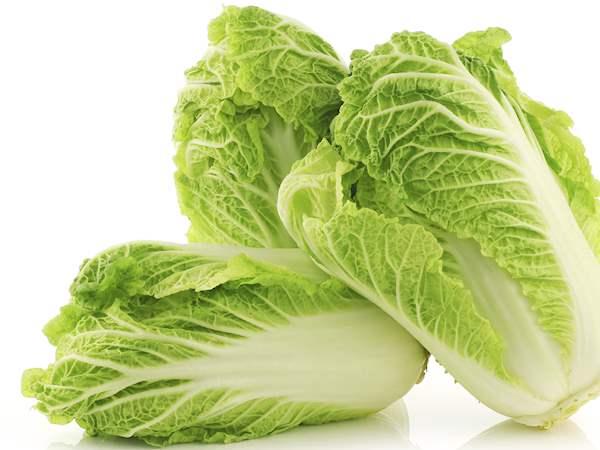 Chinese Cabbage, Packaging Size : 50 Kg