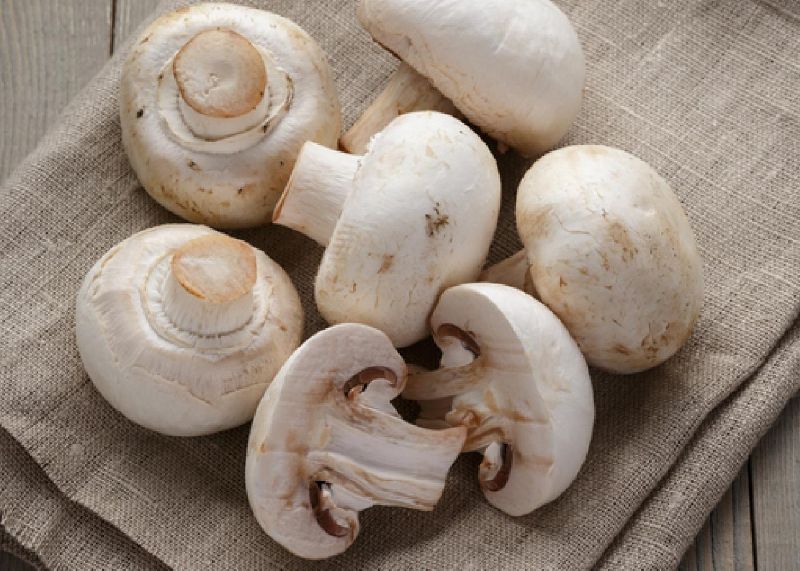 Organic Fresh Button Mushroom, for Enhance The Flavour, Packaging Type : Plastic Box