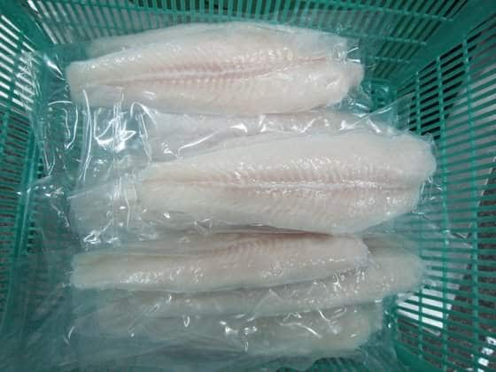 Frozen Basa Fish