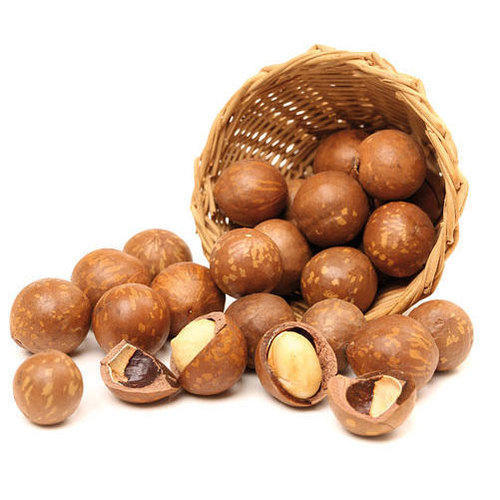 Macadamia nuts, Shelf Life : 2 Year