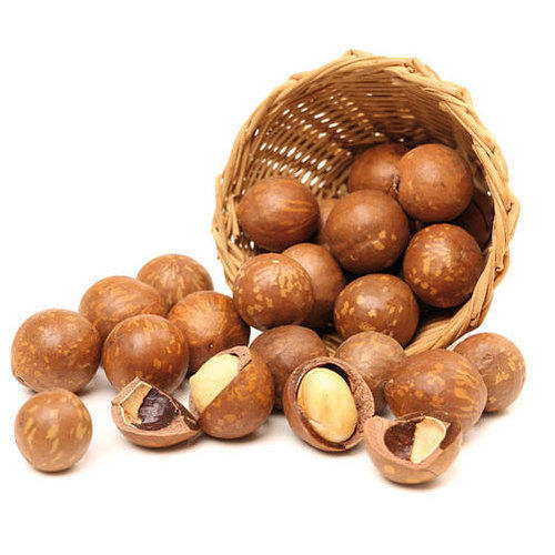 macadamia nuts