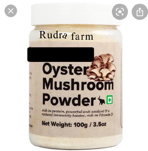 Dry Oyster Mushroom