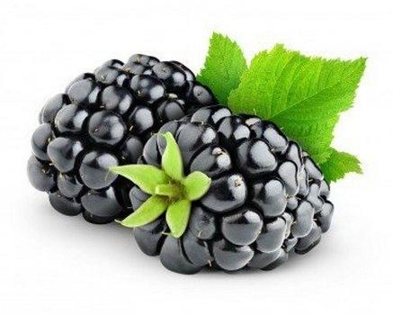 Organic Fresh Blackberry