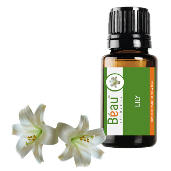 Lily Essential Oil, Purity : 99.9%