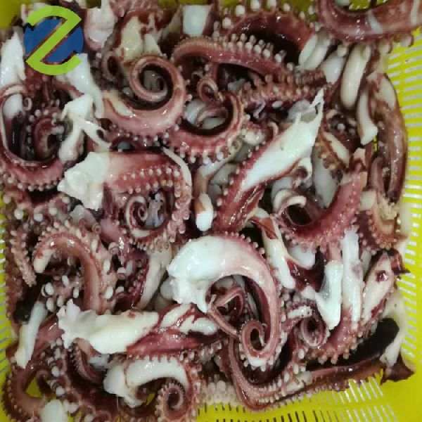 IQF Blanched Octopus Squid Short Leg