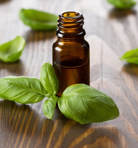 Refined Basil Essential Oil, Shelf Life : 12 months.