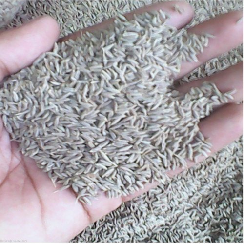 White cumin seeds, Packaging Size : 500 g