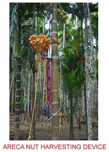 Arecanut Tree Climber with Harvesting Attachment