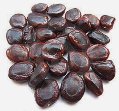 Tamarind seeds, Color : Brown