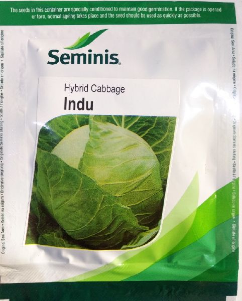 Organic Hybrid Cabbage Seeds, Packaging Type : Packet